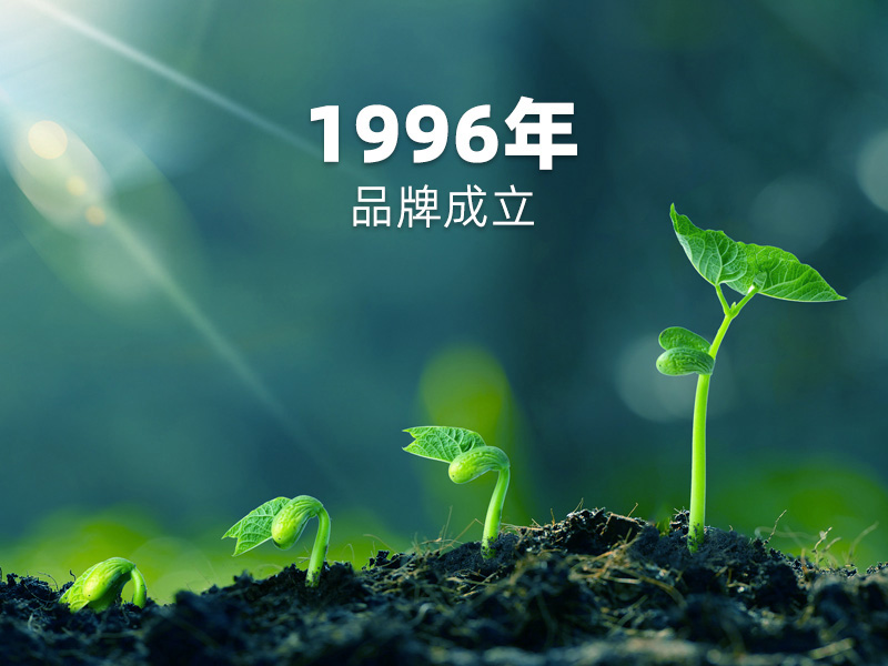 1996年品牌成立：PCB硬板制造征程，匠心傳承！
